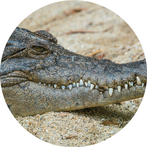 Reflection Sky Villas