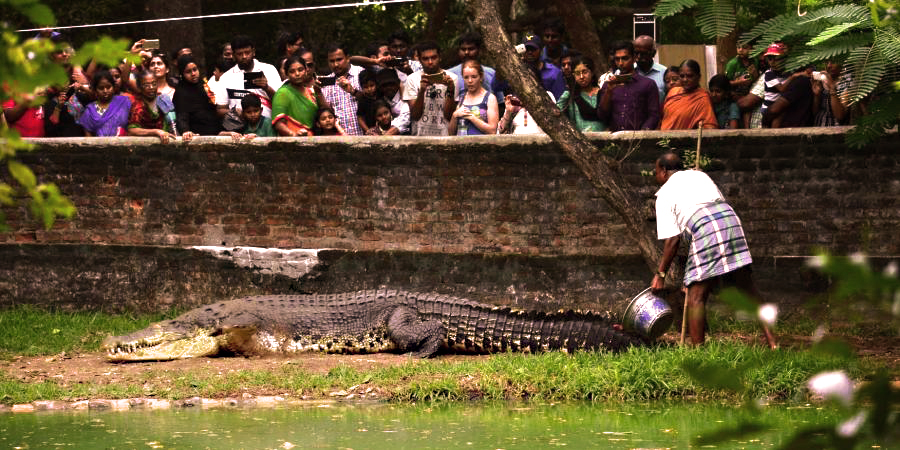 Reflection Sky Villas